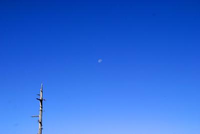 いざ！奥志賀林道