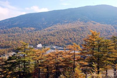 紅葉の高峰高原へ
