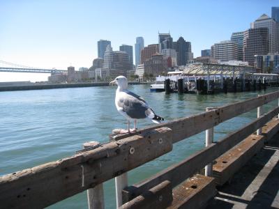 サンフランシスコ旅行記(2)