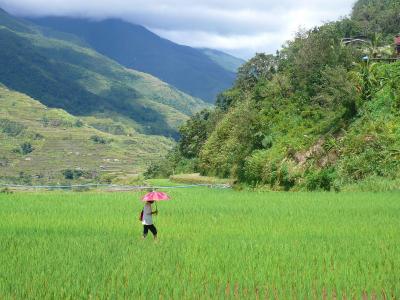 バナウエの街から　Hapao　Rice　Terraces　＆　Hot　Springs　へ