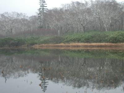 みんなの湿地帯、神仙沼を歩く