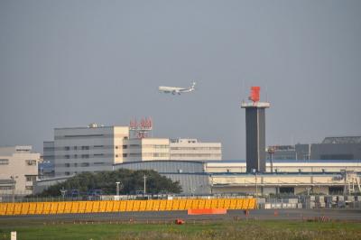 成田さくらのやま公園