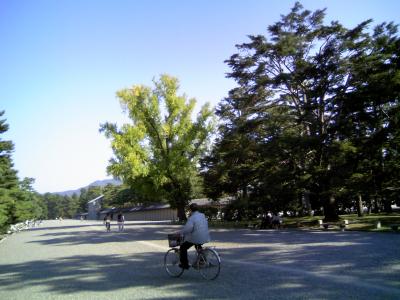 大好きな思い出の地へ　京都御所