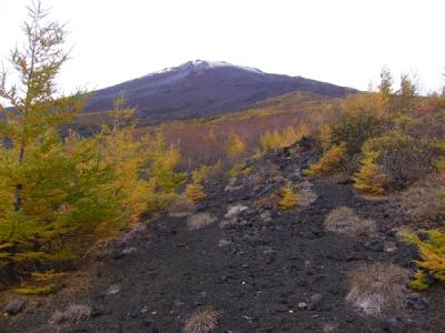 さわやかウォーキング  富士山6合目を目指す！