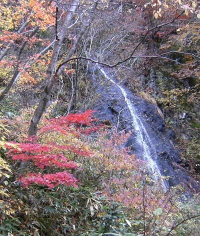 信州紅葉狩り?　志賀高原から秋山郷へ