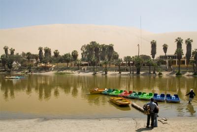 魔のペルー旅行?~イカ~