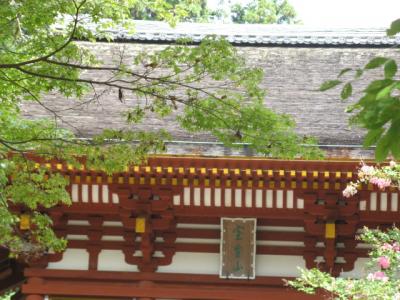 奈良「室生寺」