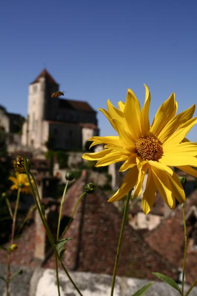 走れイワン　in　France　その五　サン・シル・ラポピー