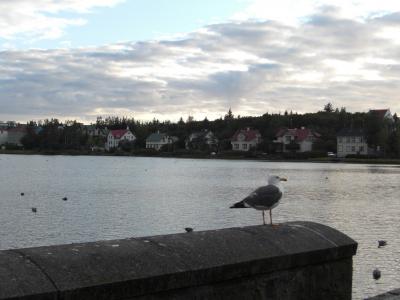 2008年夏 行っとけアイスランド（レイキャビク市内）