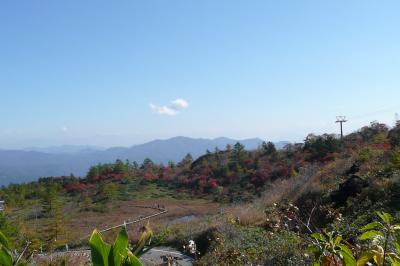 紅葉とドライブ