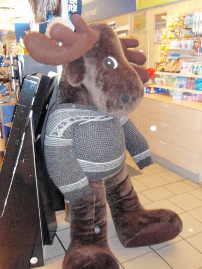 １０月のノルウェーを旅行しました（８）　≪トロムソからオスロへ≫