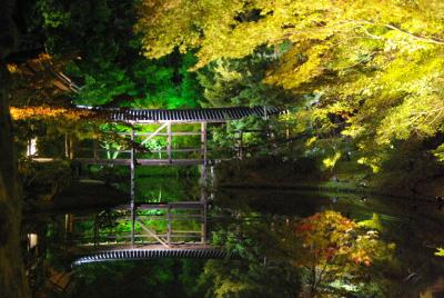 京都紅葉漫ろ歩き 1 高台寺～圓徳院のライトアップ