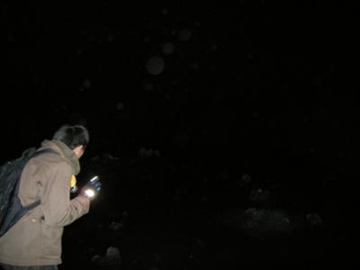 「シカ」の逃げた国にゆく 【2日目】