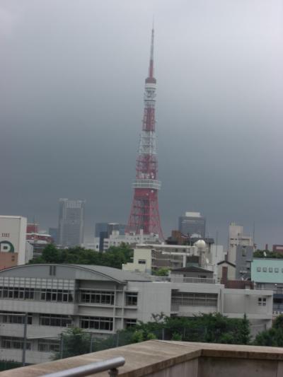 ・・・東京・・・