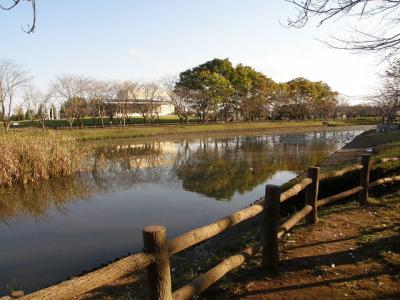 乙戸沼公園でバードウォッチング [2008](1)