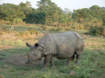 ネパール滞在記*中央部周遊?チトワン編*