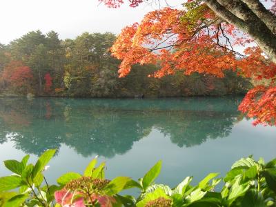 紅葉~五色沼~美術館