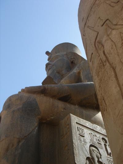 エジプト周遊８日間?