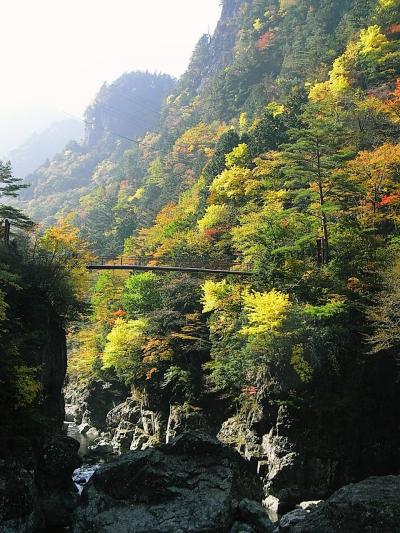 秋色の奈良県・天川村　?　【 みたらい渓谷ウォーク 】　