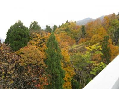 秋の北陸旅行　富山編