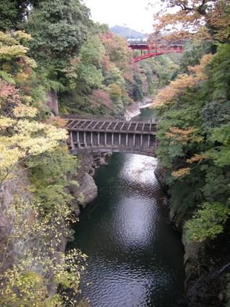 「シカ」の逃げた国にゆく 【3日目】
