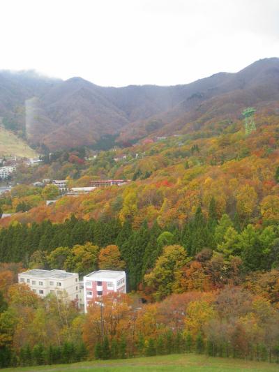 ■蔵王紅葉狩りの旅＜山形県＞