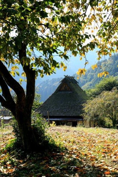 車で京都　★丹波の集落 かやぶきの里・美山北村