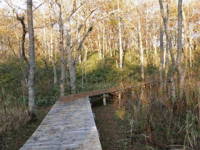 08年　秋深まる道東標津　「ポー川史跡自然公園」