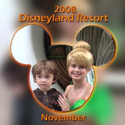2008 Disneyland Resort November