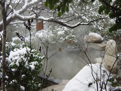 雪の中の温泉