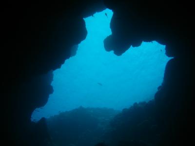 2008年 青・青・青!宮古島 〈ダイビング編〉