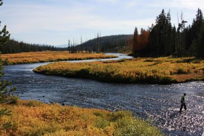 ワイオミング州の国立公園を歩く(09) いざ、Yellowstonｅ へ ～2008年夏休み～