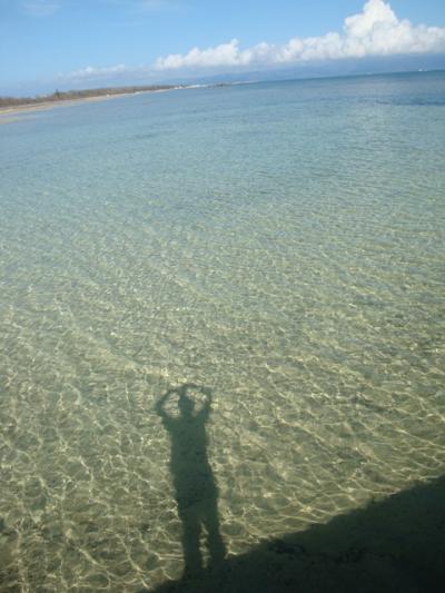 2008年9月八重山旅行・黒島編?「黒島の中心で愛を叫ぶ。海に浮かんだハート」