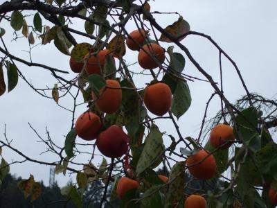 木曽路はすべて山の中である~妻籠編