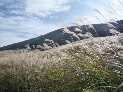 仙郷楼別邸「奥の樹々」に泊まる★1泊2日秋の箱根仙石原の旅