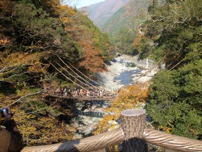 紅葉の祖谷かずら橋