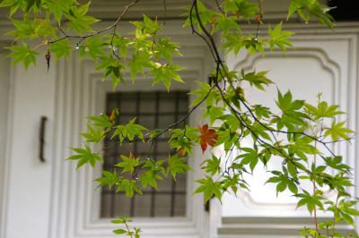 紅葉の東北～みちのく女一人旅?　角館最終日～