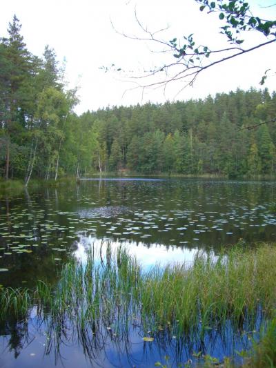 フィンランド旅行記・１２（2008年 ヌークシオ国立公園編）