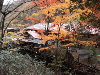 紅葉登山?　霧積温泉