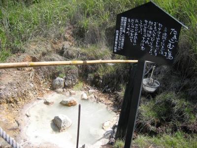 大吊橋と温泉とお花畑の旅