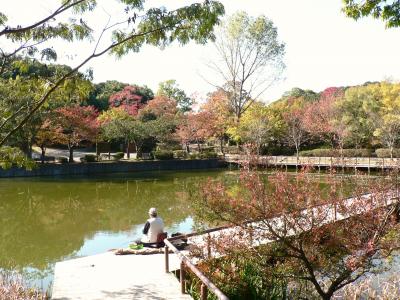 秋の奥須磨公園散策