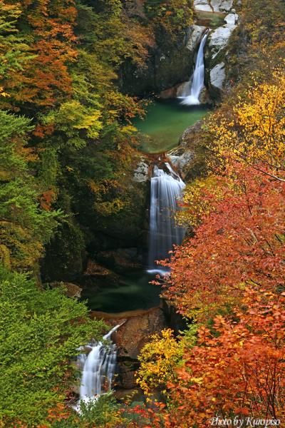 『　神蛇滝　』　錦の絶景！甲斐駒ケ岳を源とする尾白渓谷の名瀑。なぜ、日本の滝百選に選ばれない？？　/山梨県白州町　紅葉の尾白渓谷