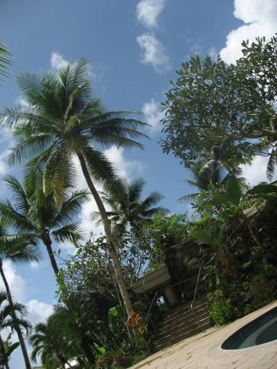 2008 11月 グアム ?