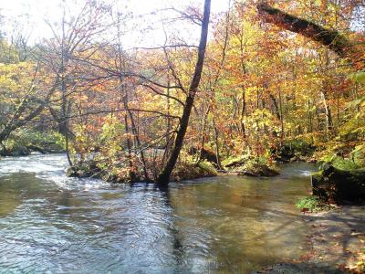 紅葉を求めて東北へ（青森編）