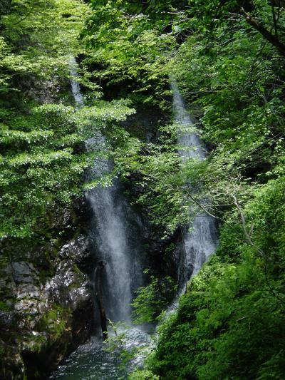 びわ湖バレイ　夫婦滝ハイキング