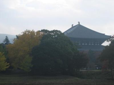 東大寺の銀杏。