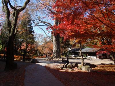 紅葉でいっぱいの小諸城