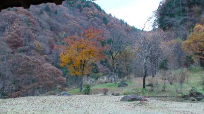 せせらぎ街道の紅葉と黄葉