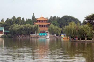 大観公園　特集２