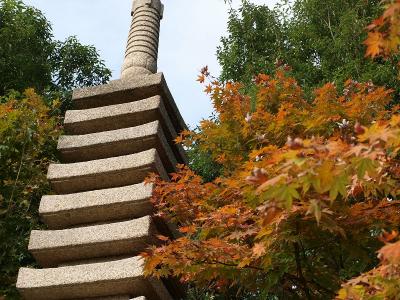 都会のオアシス　目白庭園ー?